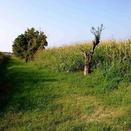 L'ulma E L'opi Rb Maison d'hôtes