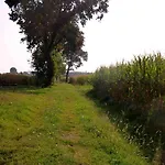 L'ulma E L'opi Rb Guastalla