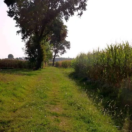 L'ulma E L'opi Rb Guastalla