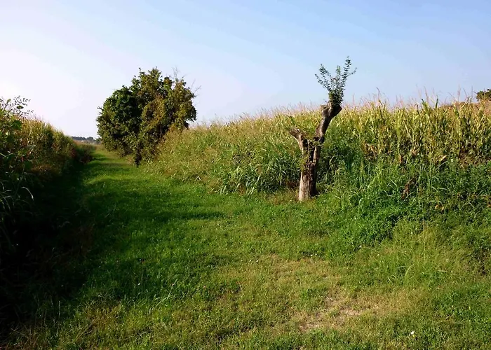 L'ulma E L'opi Rb 게스트하우스