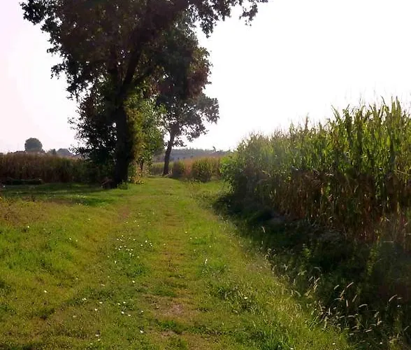 L'ulma E L'opi Rb 구아스탈라